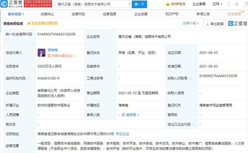 信息系统集成服务 构建高效数字化生态的基石