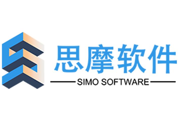 信息技术服务领域的多元化经营与专业深耕