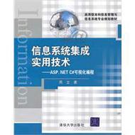 信息系统集成 从技术到服务的实用之道